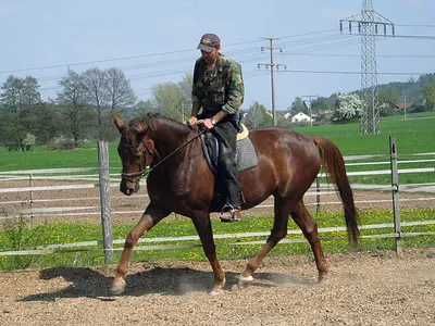 Momentaufnahme aus der Freizeit mit dem Pferd