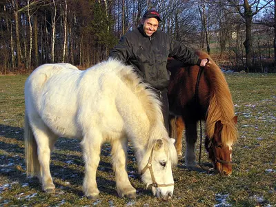 Momentaufnahme aus der Freizeit mit dem Pferd