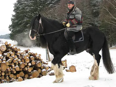 Momentaufnahme aus der Freizeit mit dem Pferd